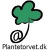 BSA-Plantetorvet