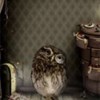 signeHP