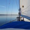 Albin 79