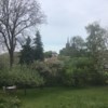 Vittings