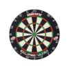 Dartpilen