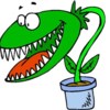 plante