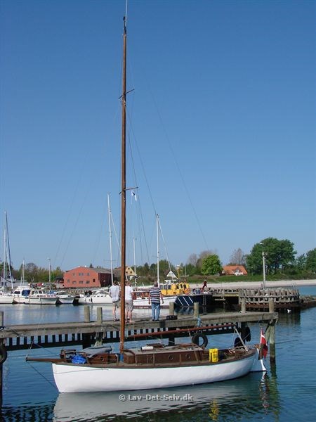 Cimba