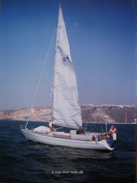 June D6