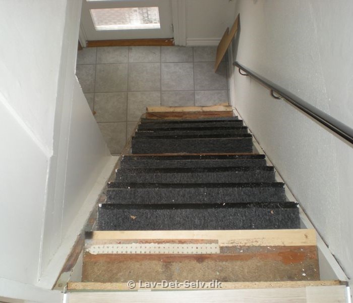 Trappe projekt