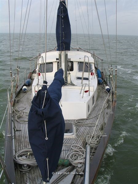 Tuscarora