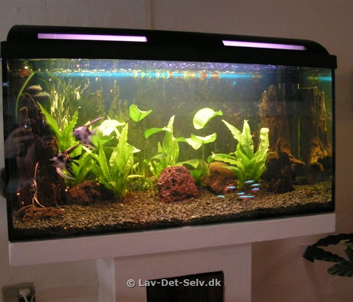 Akvariesokkel