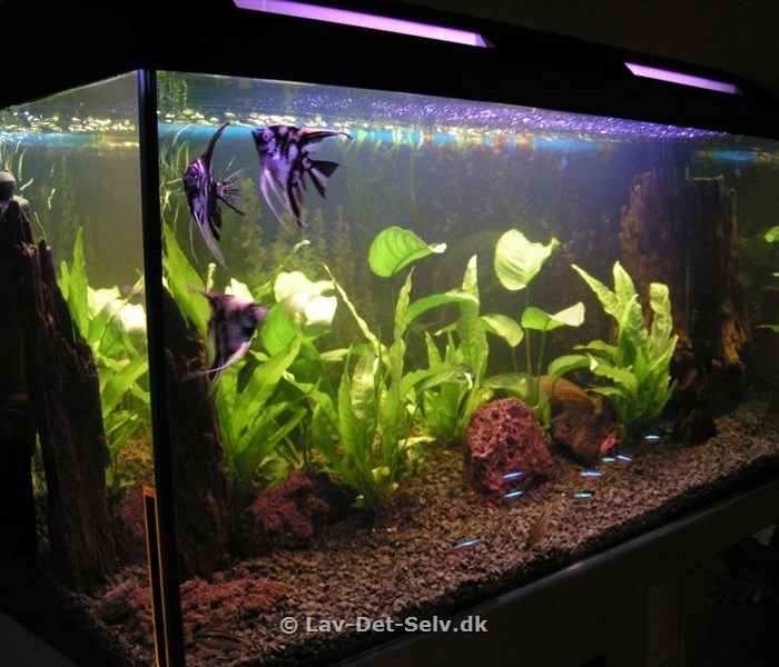 Akvariesokkel