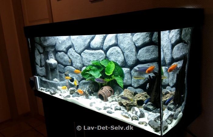 3D-Akvariebaggrund med sandfald