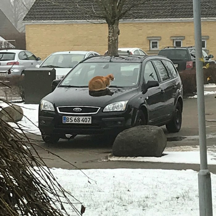 Ingen varme i kabine . Ford focus...
