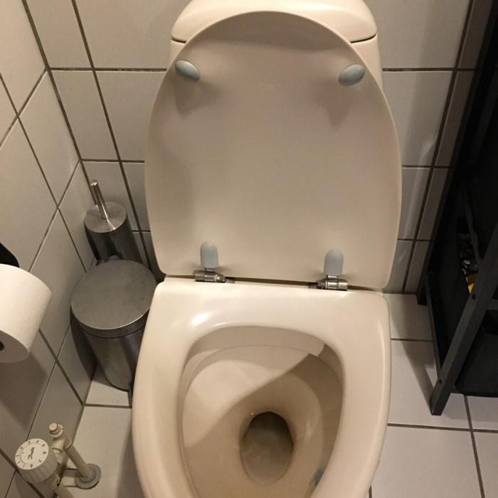 Ifö toilet med summe lyd