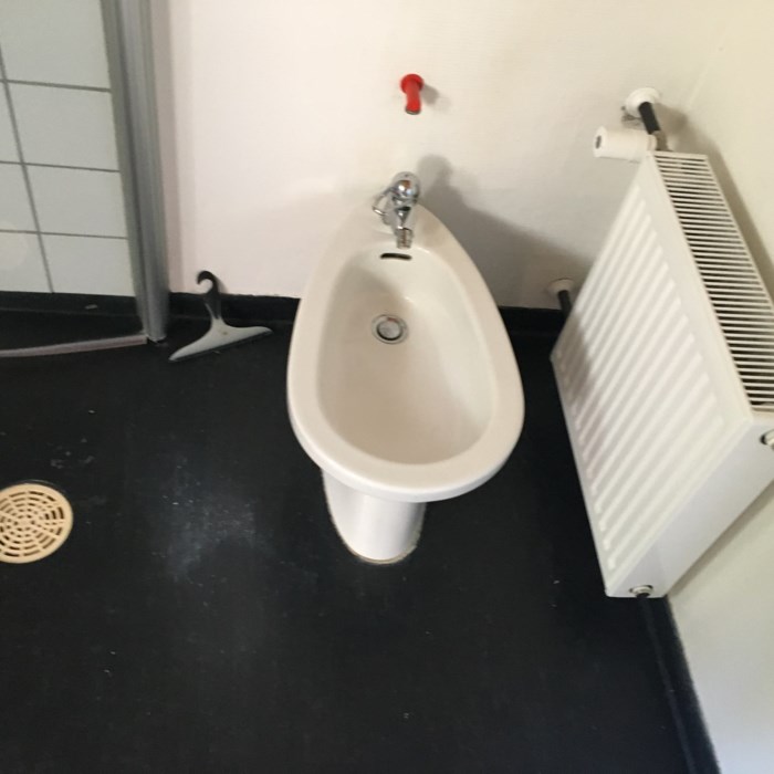 Lugt fra bidet