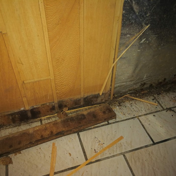 Gammel 70r sauna til depotrum