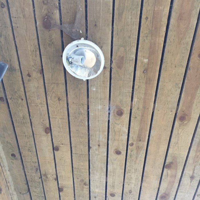 Spots og sensor