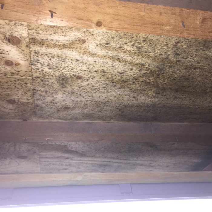 Projekt ny isolering på loft