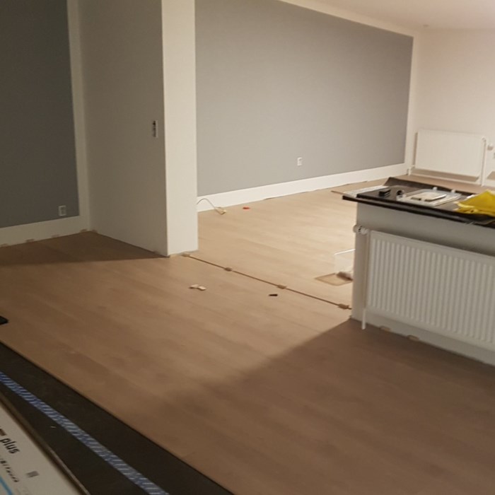 Stor hus renovering