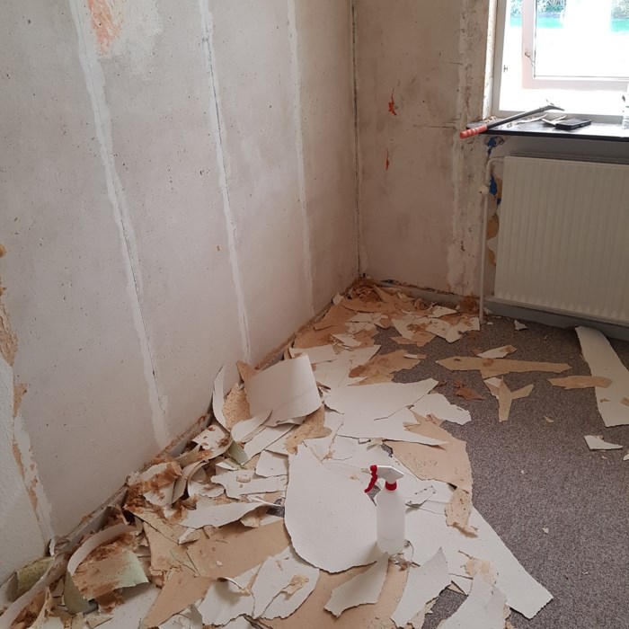 Stor hus renovering