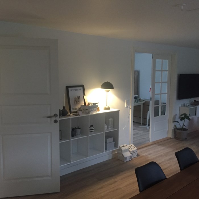 Første renovering-projekt