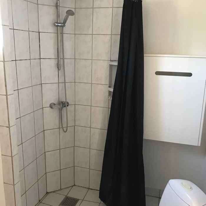 Første renovering-projekt