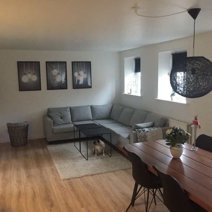 Første renovering-projekt