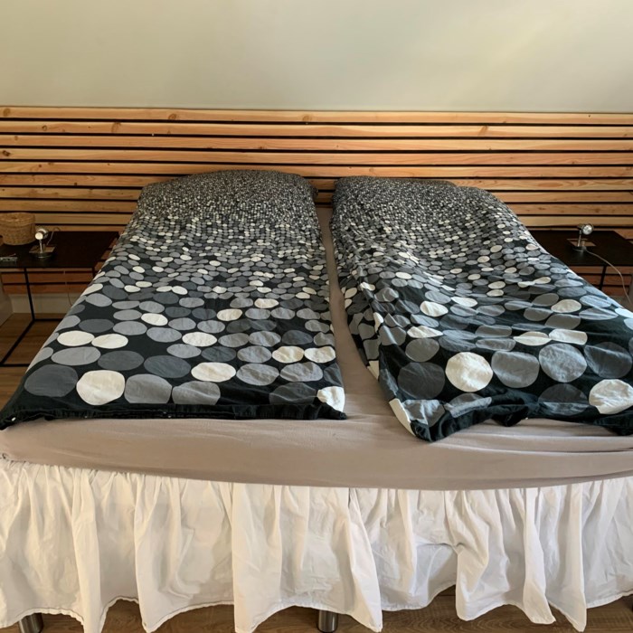 Første renovering-projekt