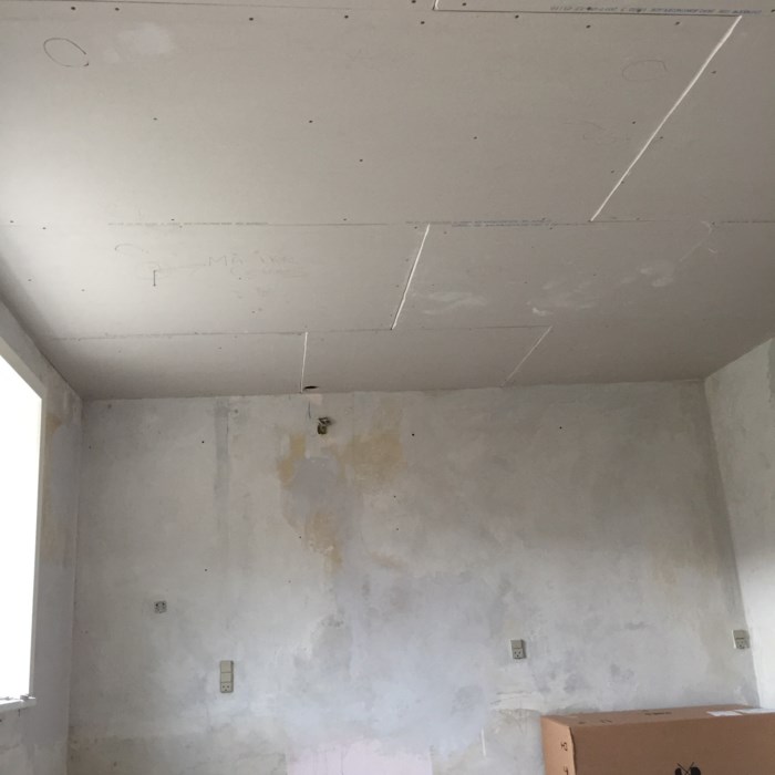 Første renovering-projekt