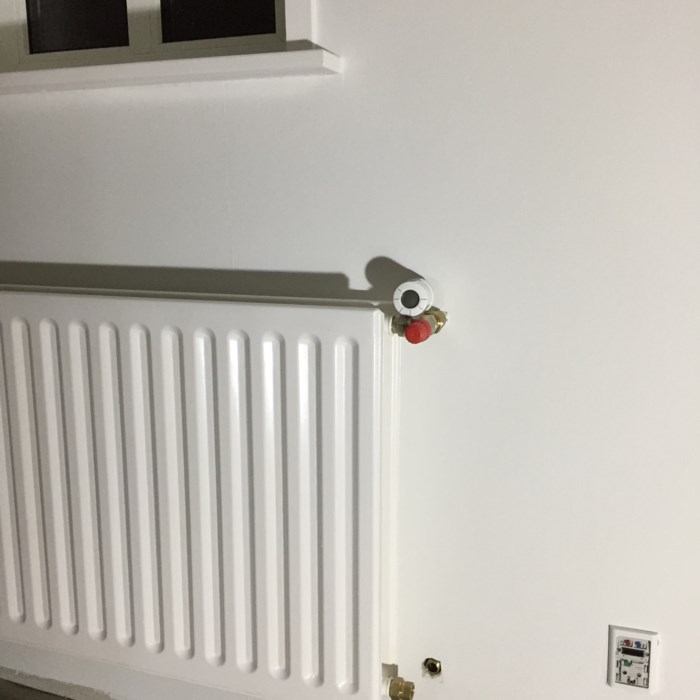 Første renovering-projekt