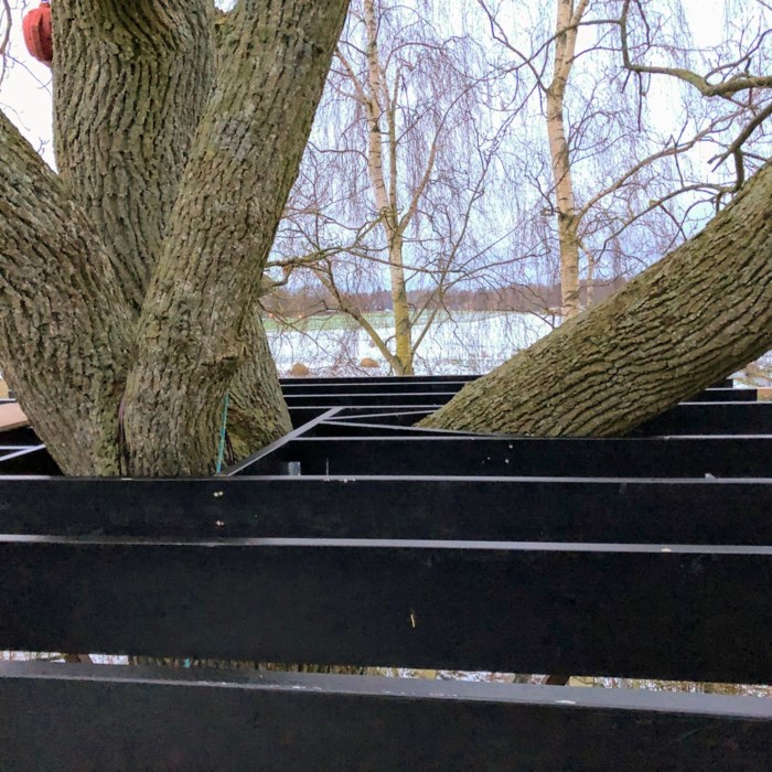 Et hus i et træ