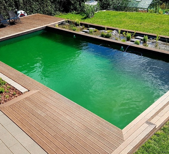 Gør-det-selv natur pool i haven