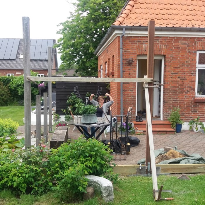 Espalie, overdække med blåregn