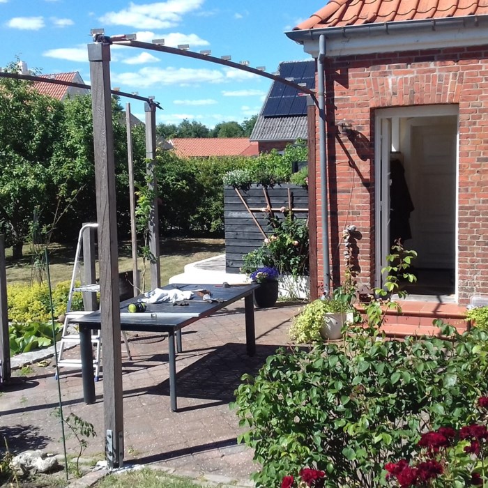 Espalie, overdække med blåregn
