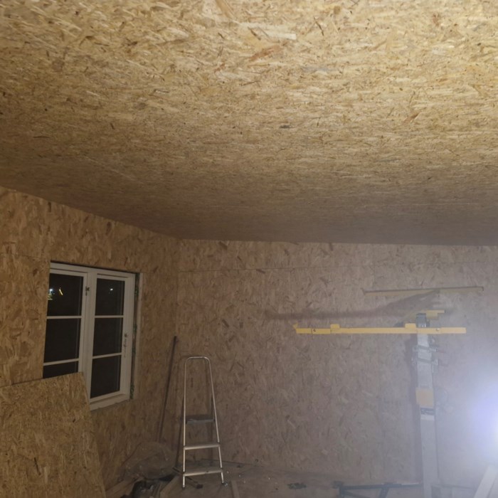 Handyman Olles Skur