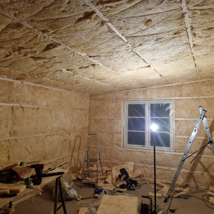 Handyman Olles Skur