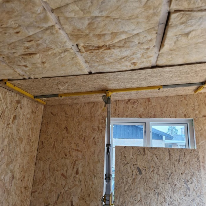Handyman Olles Skur