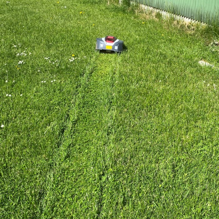 Robotplæneklipper - erfaringer og reparation
